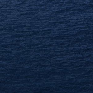 Meet your Posher, Julian